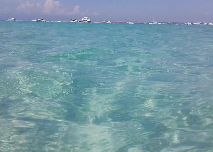 Lovely Shabby Chic * ガリポリ